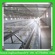 new popular China made baby chick cage for poultry farm